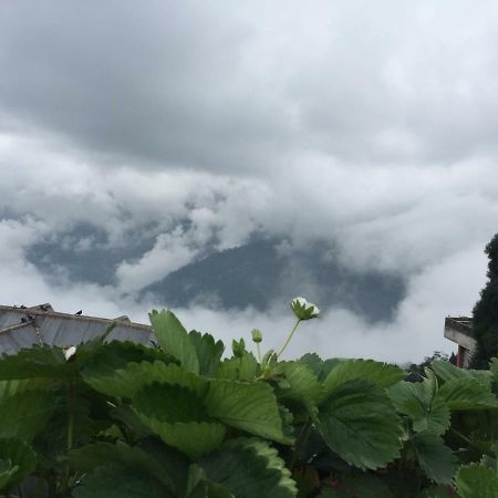 Benus Leilighet Darjeeling  Eksteriør bilde