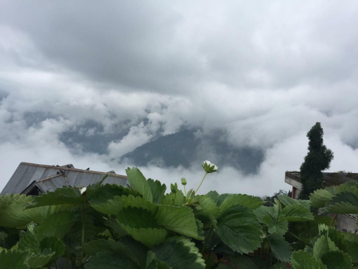 Benus Leilighet Darjeeling  Eksteriør bilde